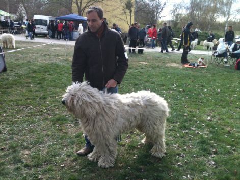 2012.04.01._sarvar_argosz.jpg 2012.04.01._sarvar_argosz.jpg