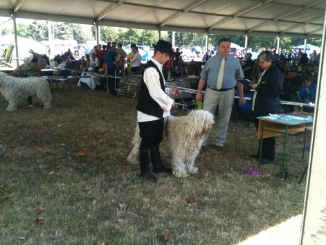 2012.07.14._szombathely_argosz.jpg 2012.07.14._szombathely_argosz.jpg