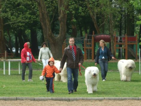 dscf2122.jpg