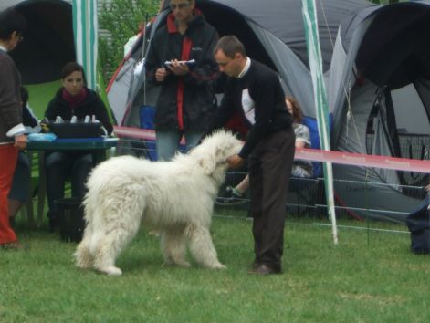 dscf2197.jpg