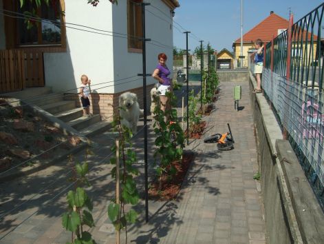 dscf2215.jpg