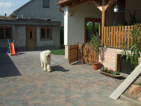 dscf2218.jpg