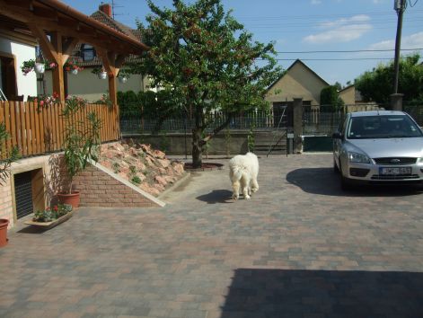 dscf2222.jpg