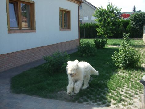 dscf2228.jpg
