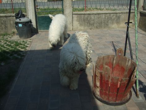 dscf2229.jpg