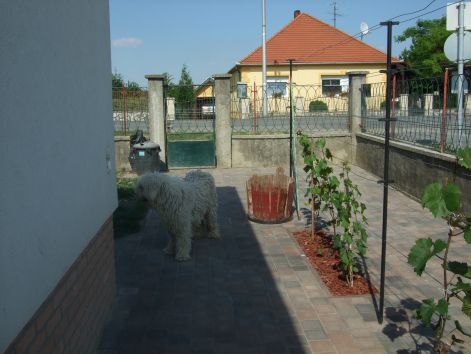 dscf2230.jpg