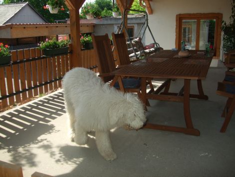 dscf2231.jpg