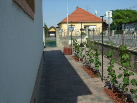dscf2235.jpg