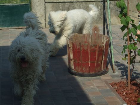 dscf2237.jpg