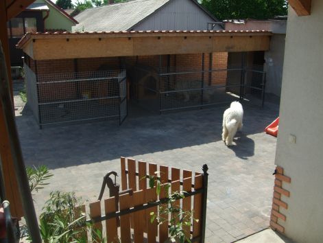 dscf2239.jpg