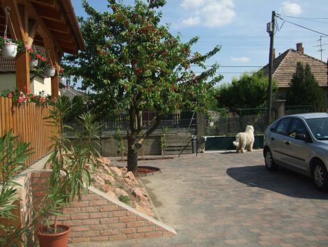 dscf2241.jpg