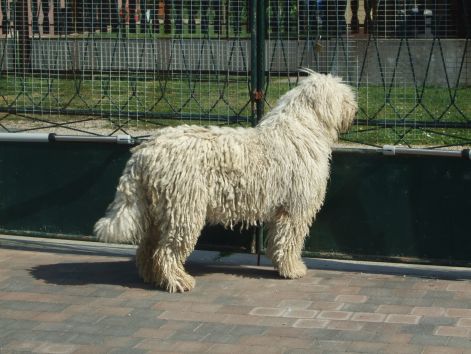 dscf2243.jpg