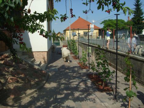 dscf2244.jpg