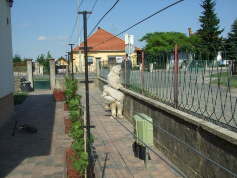 dscf2245.jpg