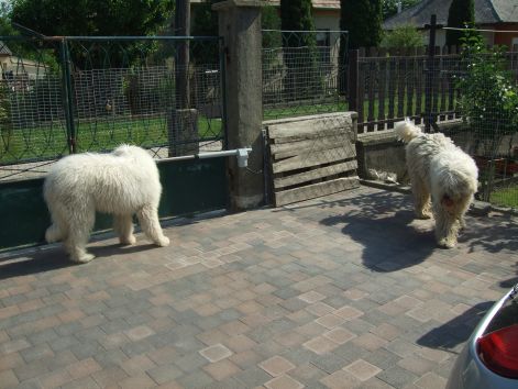 dscf2250.jpg