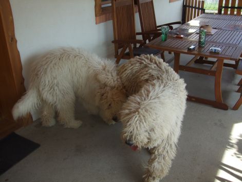 dscf2252.jpg
