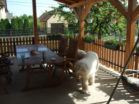 dscf2253.jpg