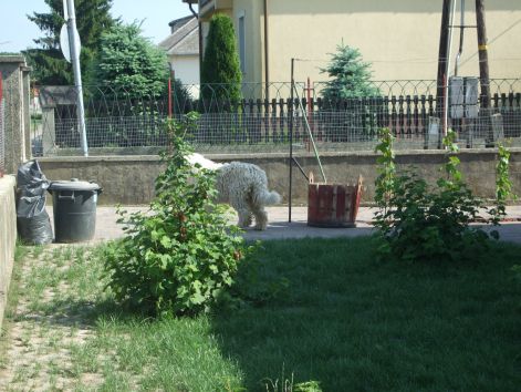 dscf2255.jpg