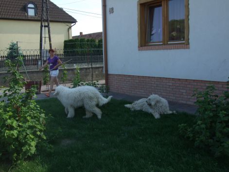 dscf2260.jpg