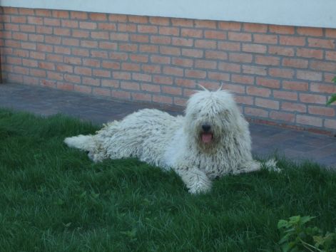 dscf2261.jpg