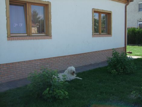 dscf2262.jpg