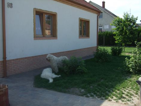 dscf2266.jpg