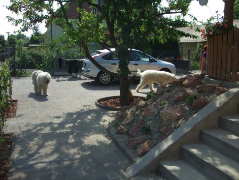 dscf2272.jpg