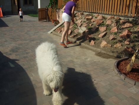 dscf2273.jpg