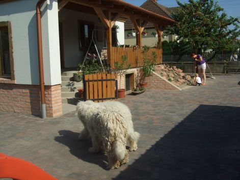 dscf2283.jpg