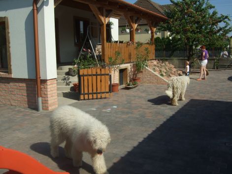 dscf2284.jpg