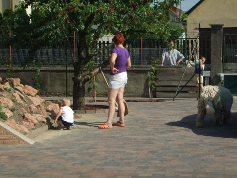 dscf2285.jpg