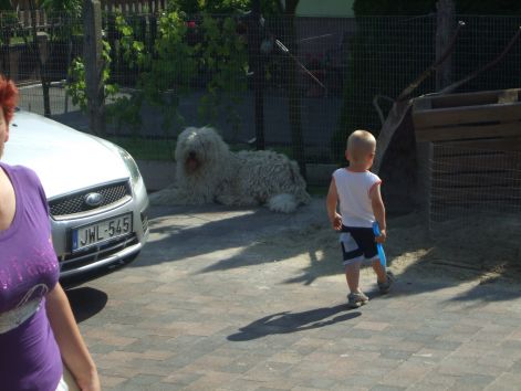 dscf2290.jpg