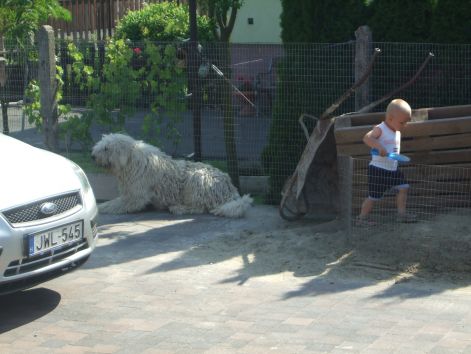 dscf2291.jpg