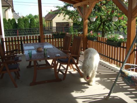 dscf2294.jpg