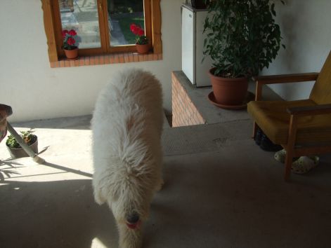 dscf2295.jpg