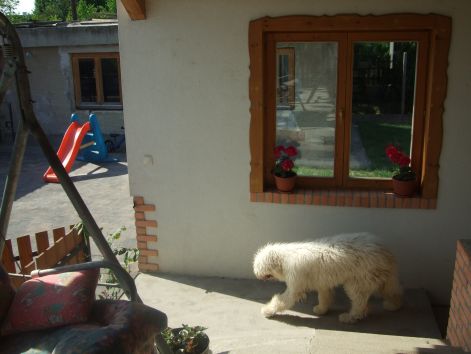 dscf2296.jpg