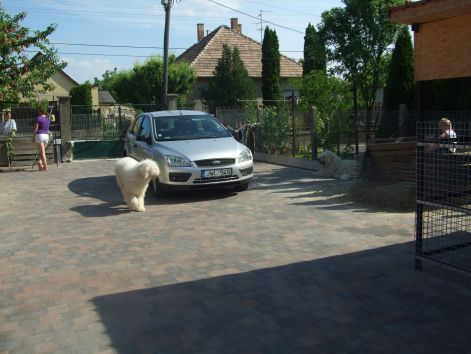 dscf2299.jpg
