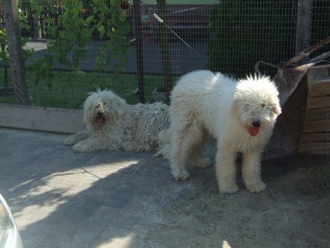 dscf2314.jpg