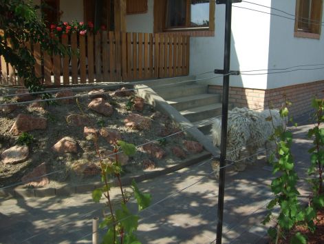 dscf2316.jpg
