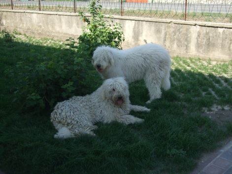 dscf2319.jpg