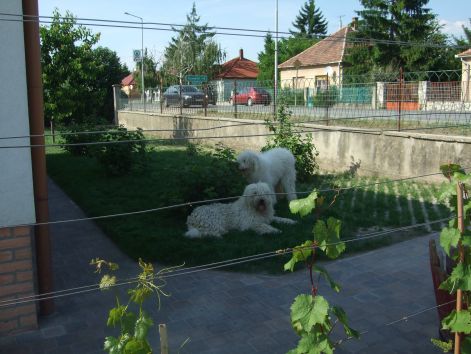 dscf2320.jpg