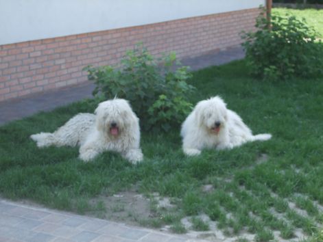 dscf2322.jpg