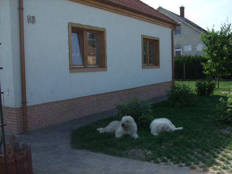 dscf2324.jpg
