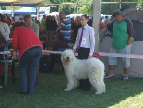 dscf2405.jpg