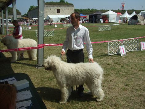 dscf2485.jpg