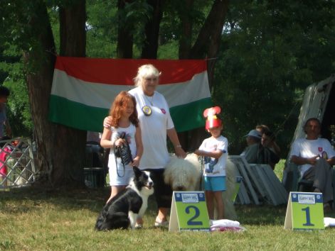 dscf3071.jpg