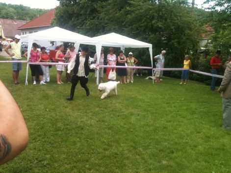 szomolya.jpg